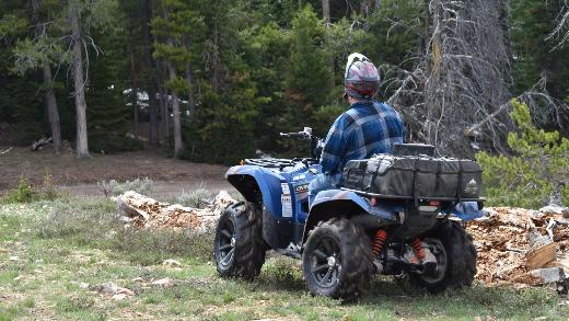 ATV Rider on the Edge of the Woods