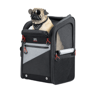 Pet Accessories