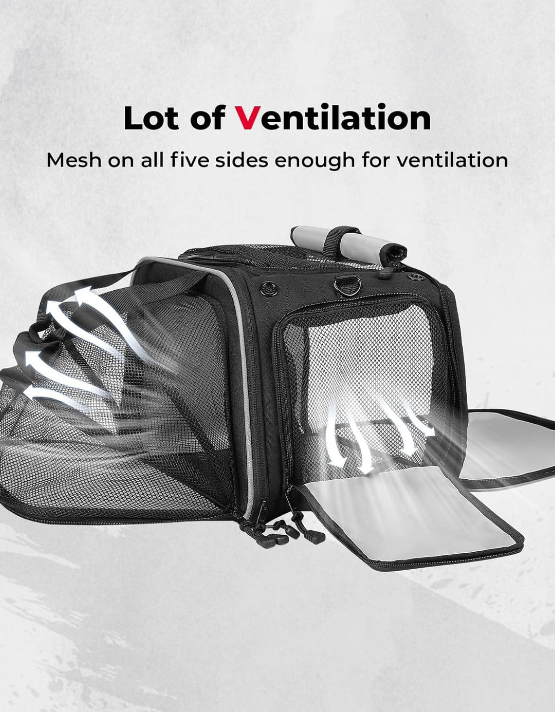 Pet Carrier for Motorcycle - Kemimoto