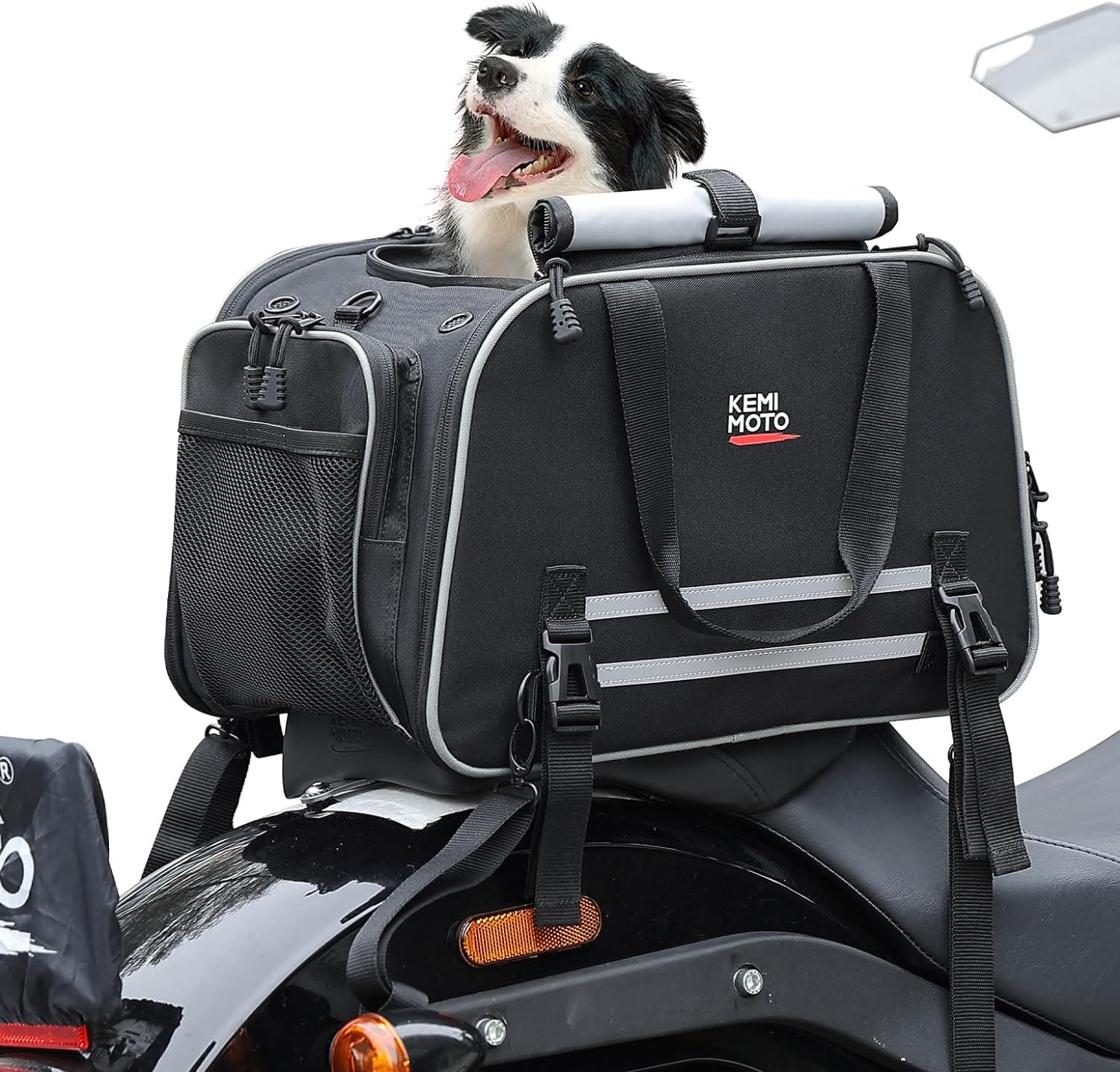 Pet Carrier for Motorcycle