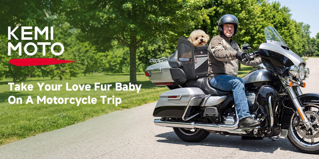  Kemimoto Pet Carrier for Motorcycle