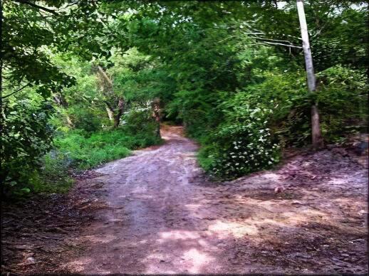 Best Off Road Driving Trails in New Jersey