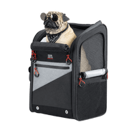 Pet Accessories