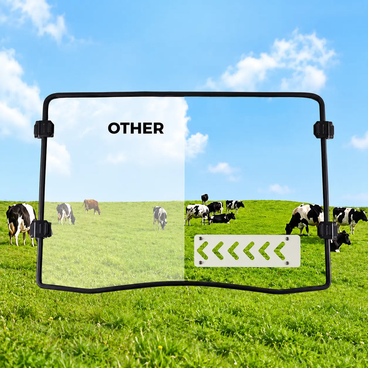 A Viewing Area Built into the Coverage