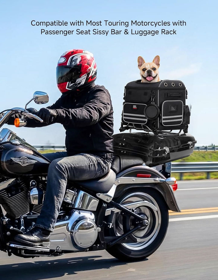 Motorcycle Dog Carrier for Medium Dogs
