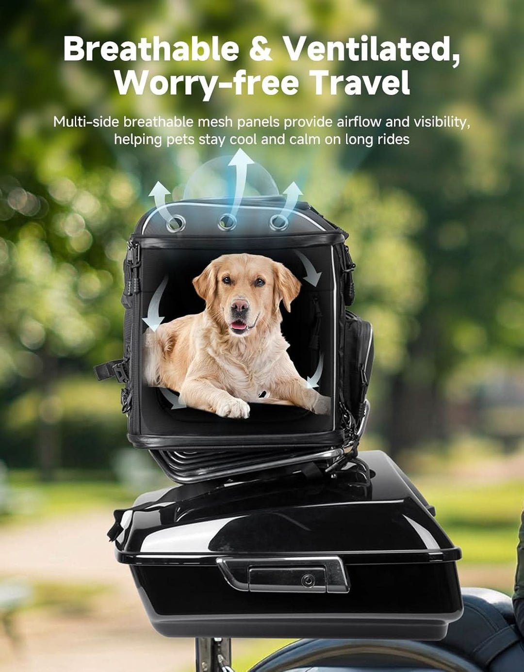 Motorcycle Dog Carrier for Medium Dogs