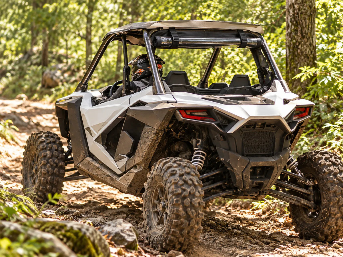 Warm-Weather Forest Rides