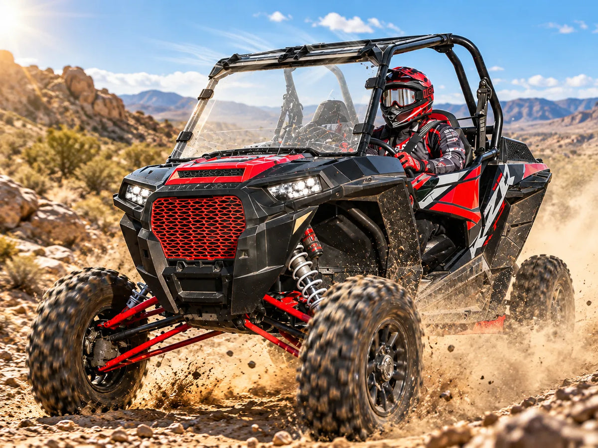 Sunny Desert Trail Riding